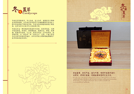 &#112;&#112;&#30005;&#23376;&#40;&#20013;&#22269;&#21306;&#41;&#23448;&#26041;&#32593;&#31449;