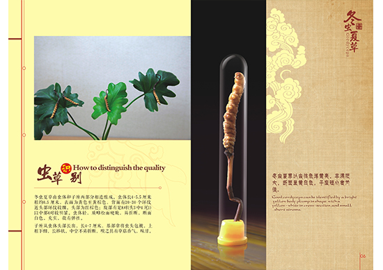 &#112;&#112;&#30005;&#23376;&#40;&#20013;&#22269;&#21306;&#41;&#23448;&#26041;&#32593;&#31449;