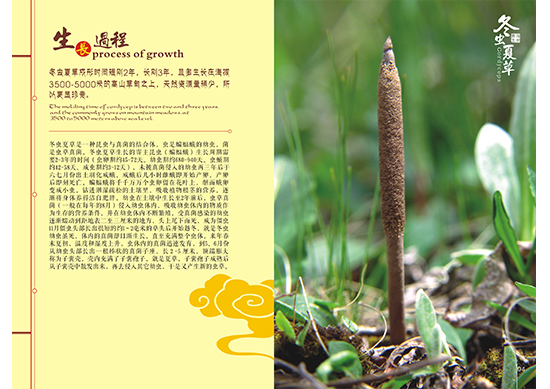 &#112;&#112;&#30005;&#23376;&#40;&#20013;&#22269;&#21306;&#41;&#23448;&#26041;&#32593;&#31449;