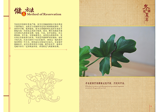 &#112;&#112;&#30005;&#23376;&#40;&#20013;&#22269;&#21306;&#41;&#23448;&#26041;&#32593;&#31449;